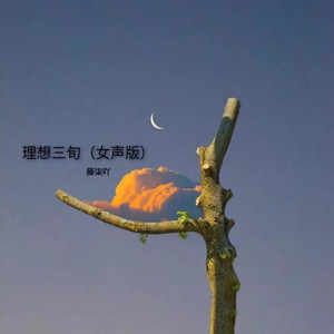 理想三旬 (女声版)歌词 - 藤柒吖