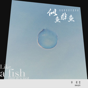 似鱼非鱼歌词 - 钟棋煜