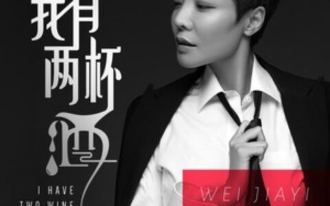 我有两杯酒歌词 - 魏佳艺