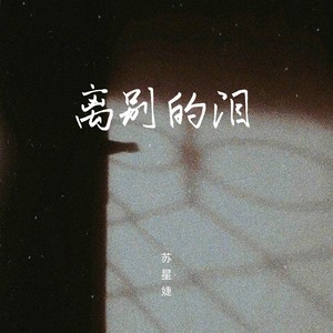 离别的泪128歌词 - 苏星婕