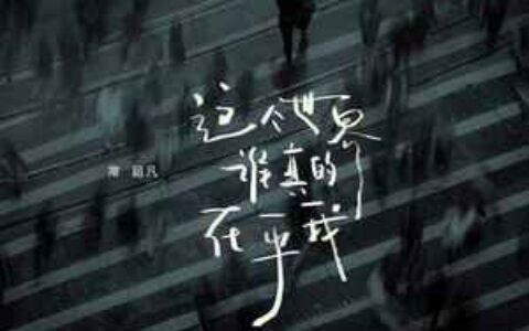 这个世界谁真的在乎我是什么歌？