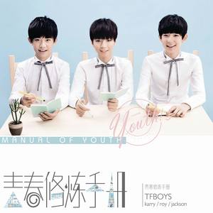 青春修炼手册歌词 - TFBOYS