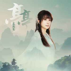 亭亭歌词 - 孟庭苇