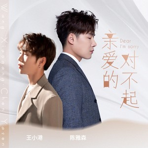 亲爱的对不起歌词 - 陈雅森 /王小港