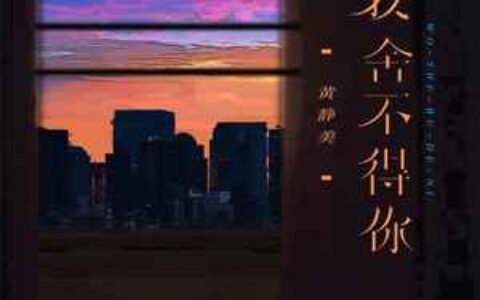 我舍不得你歌词 - 黄静美