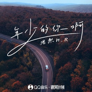 年少的你啊(DJ 沈念版)歌词 - 浩然H.R