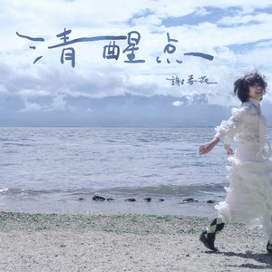 清醒点歌词 - 谢春花