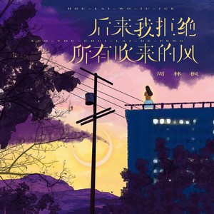 后来我拒绝所有吹来的风歌词 - 周林枫