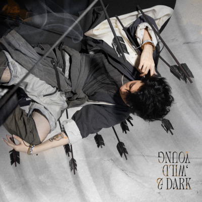 谈笑疯生(Mad Fox)歌词 - FOX胡天渝 / SanJin