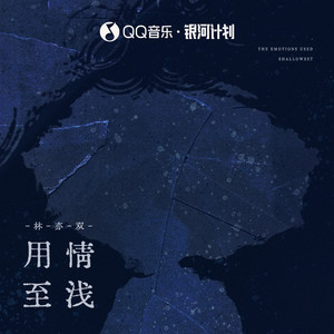 用情至浅歌词 - 林亦双