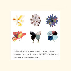 偷走科克托的美丽花草歌词 - 黄龄/常石磊