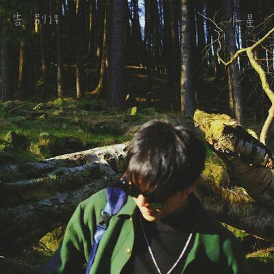 告别诗歌词 - 水星