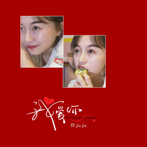 我爱你歌词 - 程佳佳