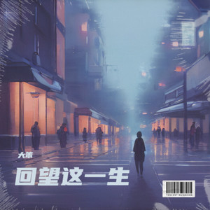 回望这一生歌词 - 大笨