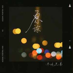 原谅歌词 - 半吨兄弟