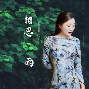 相思雨歌词 - 云菲菲