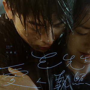 E先生 爱人执照歌词 - 吕爵安