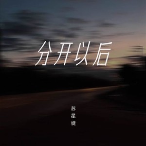 分开以后歌词 - 苏星婕