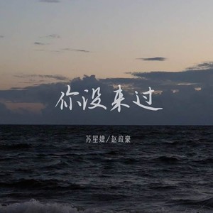 你没来过歌词 - 苏星婕 /赵政豪