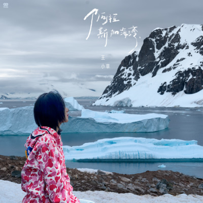 阿拉斯加海湾歌词 - 王小草