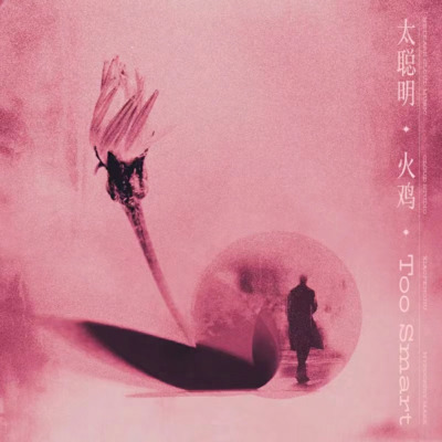 太聪明歌词 - 火鸡