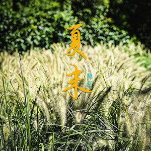 夏末歌词 - 韩红