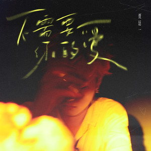 不需要你的爱歌词 - 贾廷一