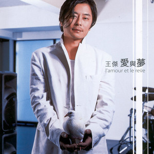 我是真的爱上你歌词 - 王杰