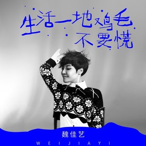 生活一地鸡毛不要慌歌词 - 魏佳艺