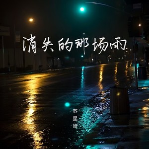 消失的那场雨歌词 - 苏星婕