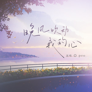 晚风吹动我的心歌词 - pro