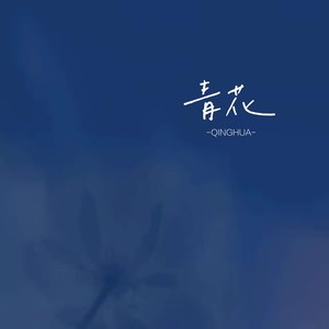青花 (温柔版)歌词 - 藤柒吖