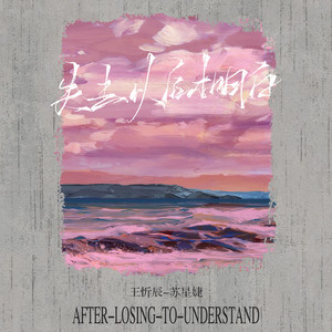 失去以后才明白歌词 - 王忻辰 /苏星婕