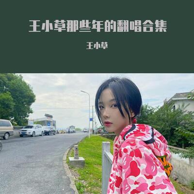 有可能的夜晚歌词 - 王小草