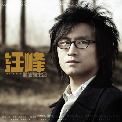 像个孩子歌词 - 汪峰