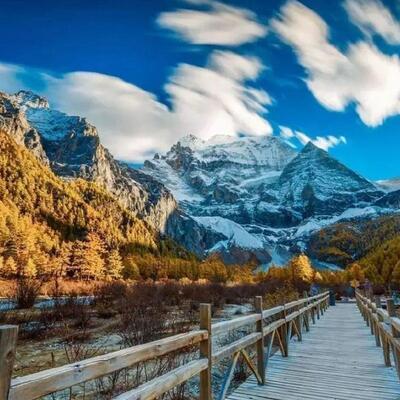 月亮惹的祸歌词 - 陈大本事