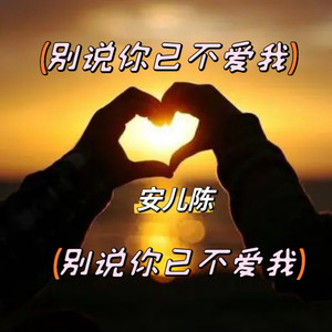 别说你已不爱我歌词 - 安儿陈