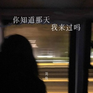 你知道那天我来过吗歌词 - 刘纯
