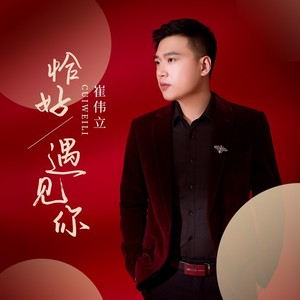 恰好遇见你歌词 - 崔伟立