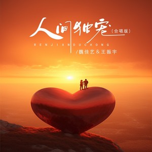 人间独宠（合唱版）歌词 - 魏佳艺 /王振宇
