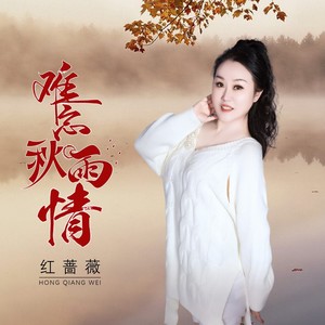 难忘秋雨情歌词 - 红蔷薇