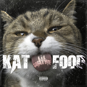 Kat Food歌词 - Lil Wayne