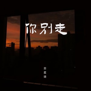 你别走歌词 - 苏星婕