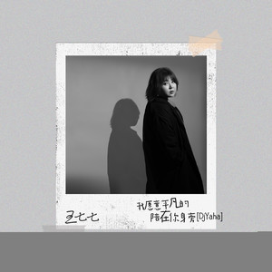 我愿意平凡的陪在你身旁 (DjYaha)歌词 - 王七七