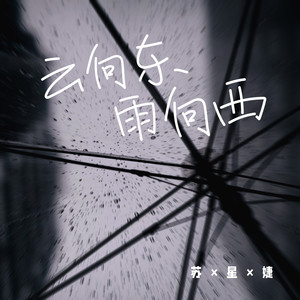 云向东雨向西歌词 - 苏星婕