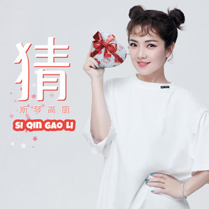 猜 (纪念版)歌词 - 斯琴高丽