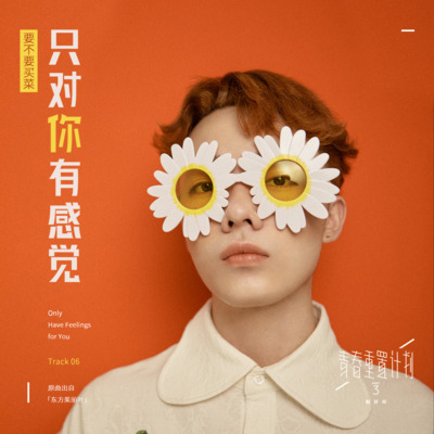 只对你有感觉歌词 - 要不要买菜