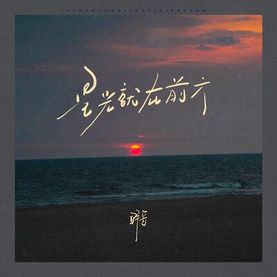星光就在前方歌词 - 野哥