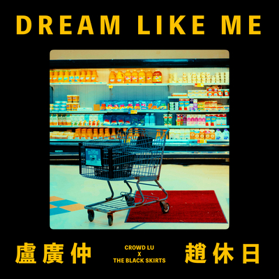 DREAM LIKE ME歌词 - 卢广仲 / 黑裙子