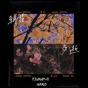 今夜落幕 (End night)歌词 - 吴海啸Tsunami/哈口HaKo